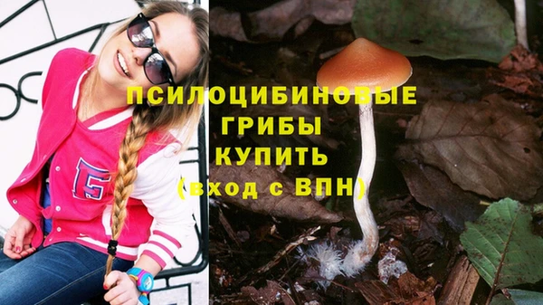 хмурый Арсеньев