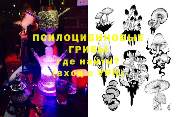 хмурый Арсеньев