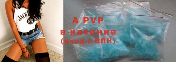 хмурый Арсеньев