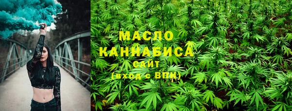 хмурый Арсеньев