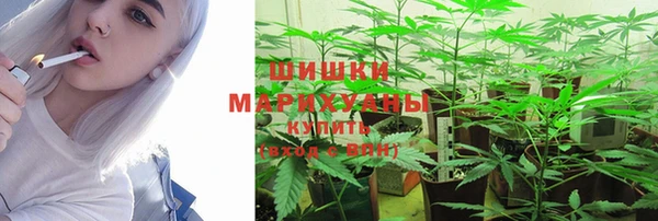 эйфоретик Баксан